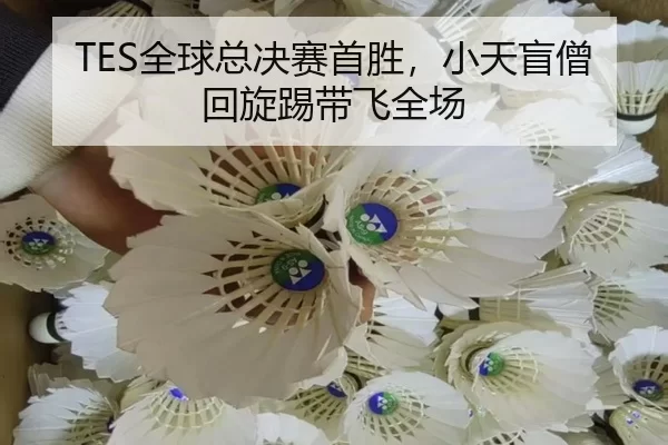 TES全球总决赛首胜，小天盲僧回旋踢带飞全场