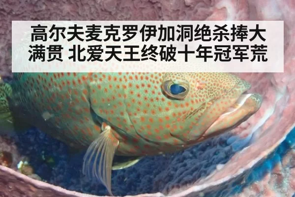 高尔夫麦克罗伊加洞绝杀捧大满贯 北爱天王终破十年冠军荒